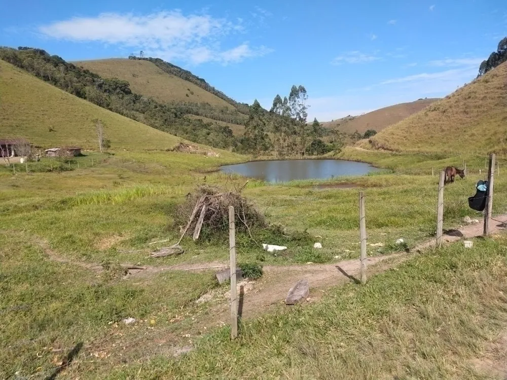 Fazenda, 46 hectares - Foto 4