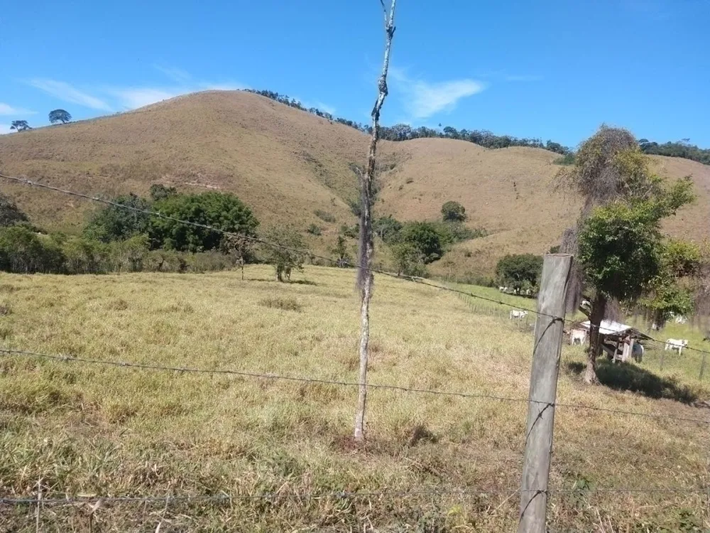 Fazenda, 46 hectares - Foto 7