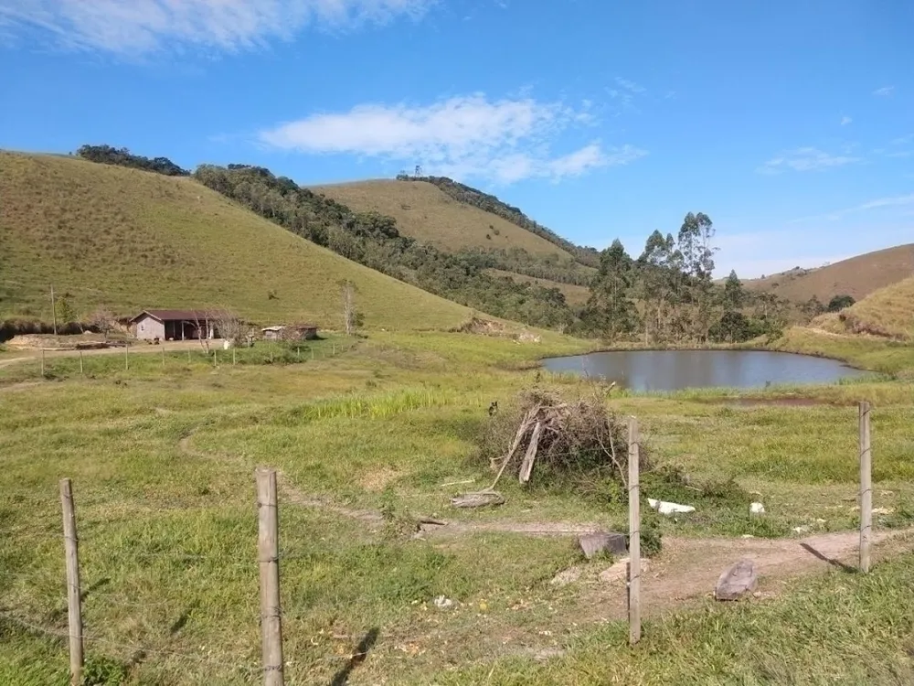 Fazenda, 46 hectares - Foto 5