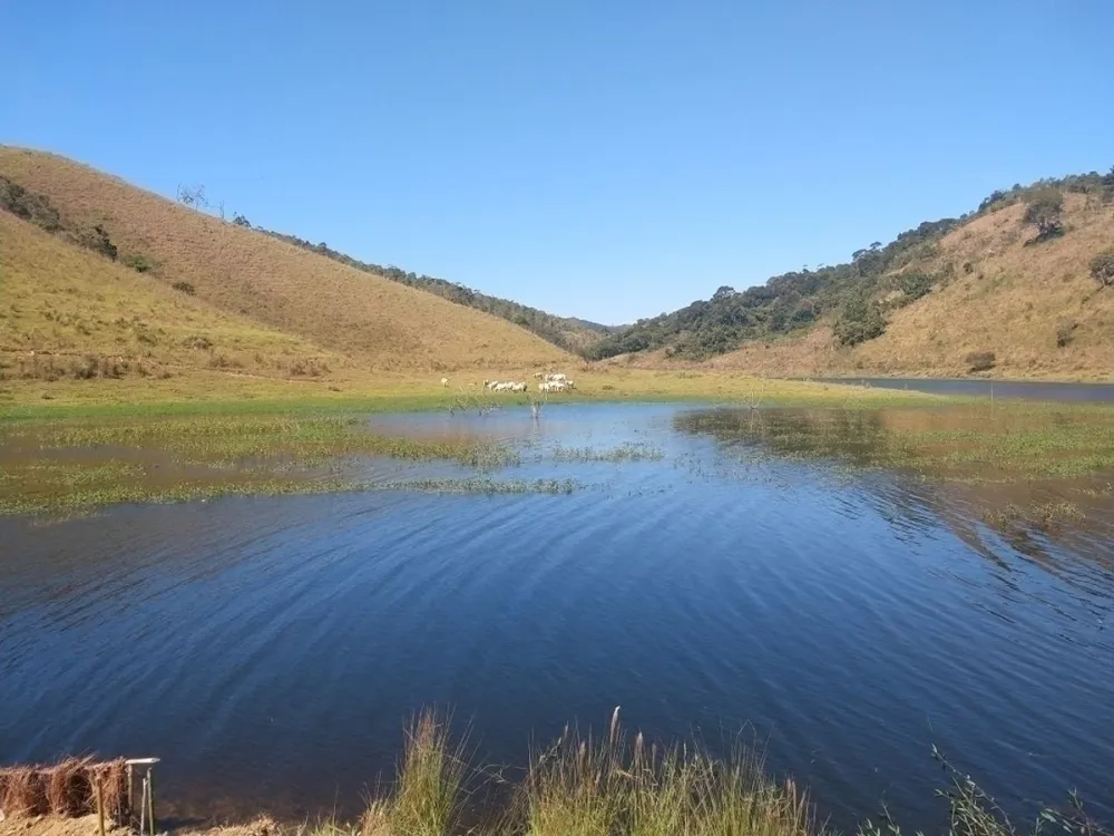Fazenda, 46 hectares - Foto 2