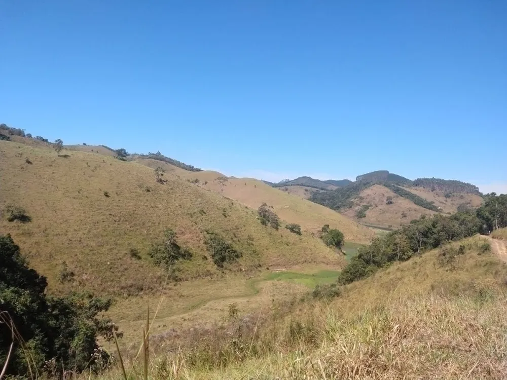 Fazenda, 46 hectares - Foto 8