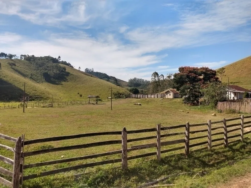 Fazenda, 46 hectares - Foto 1