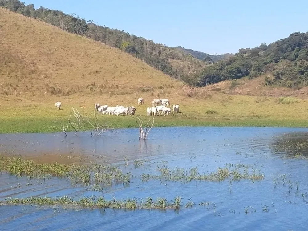 Fazenda, 46 hectares - Foto 3