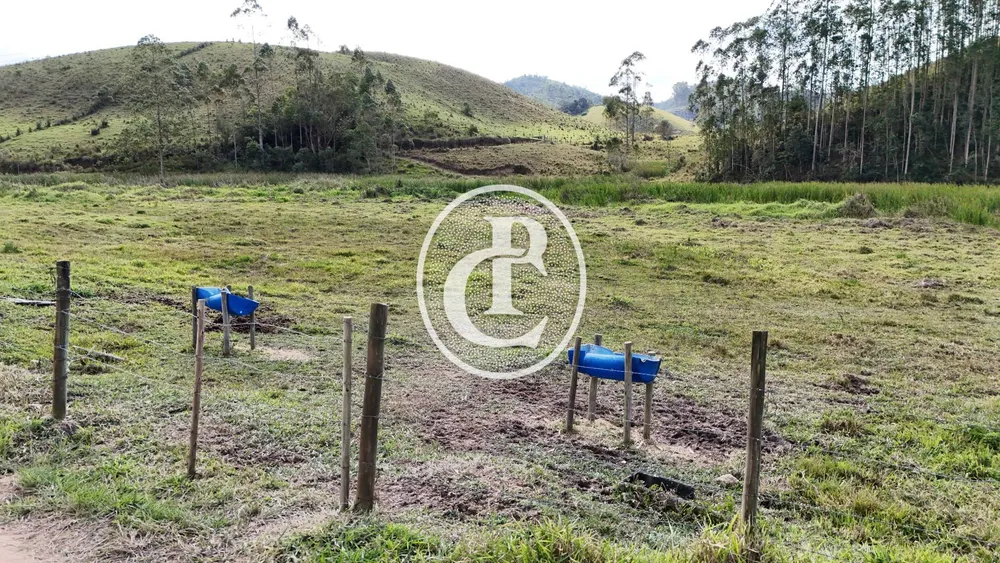 Fazenda, 46 hectares - Foto 15