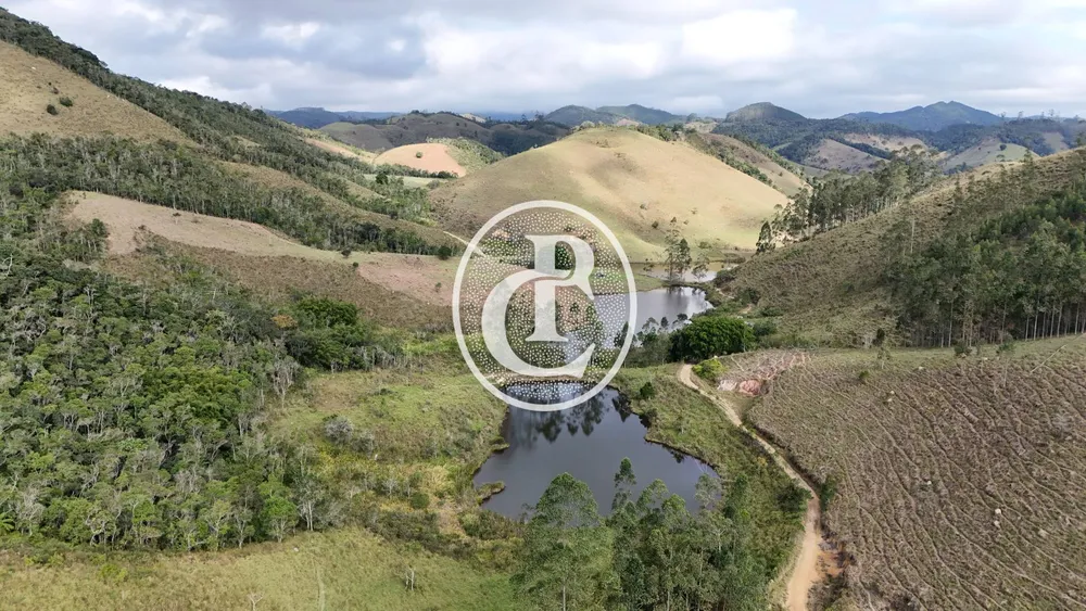 Fazenda, 46 hectares - Foto 13