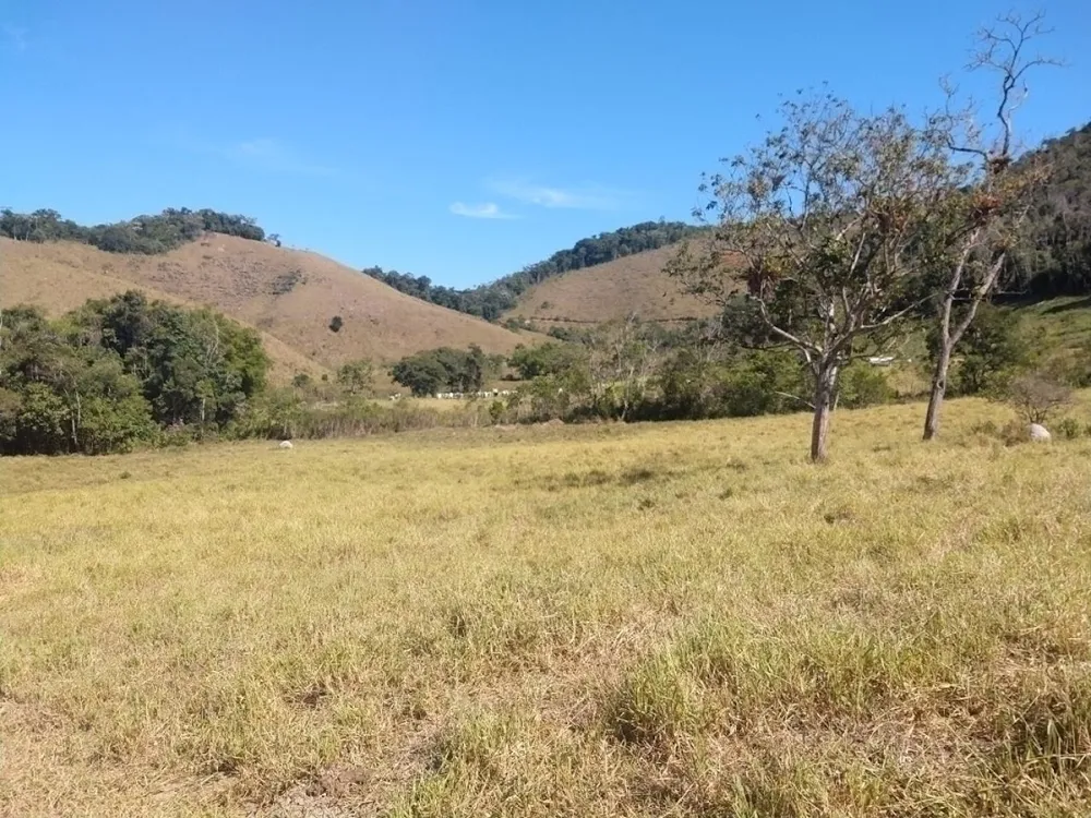 Fazenda, 46 hectares - Foto 6