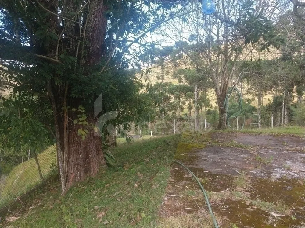 Fazenda, 361 hectares - Foto 8