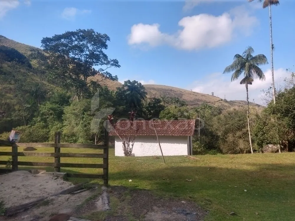 Fazenda, 361 hectares - Foto 4