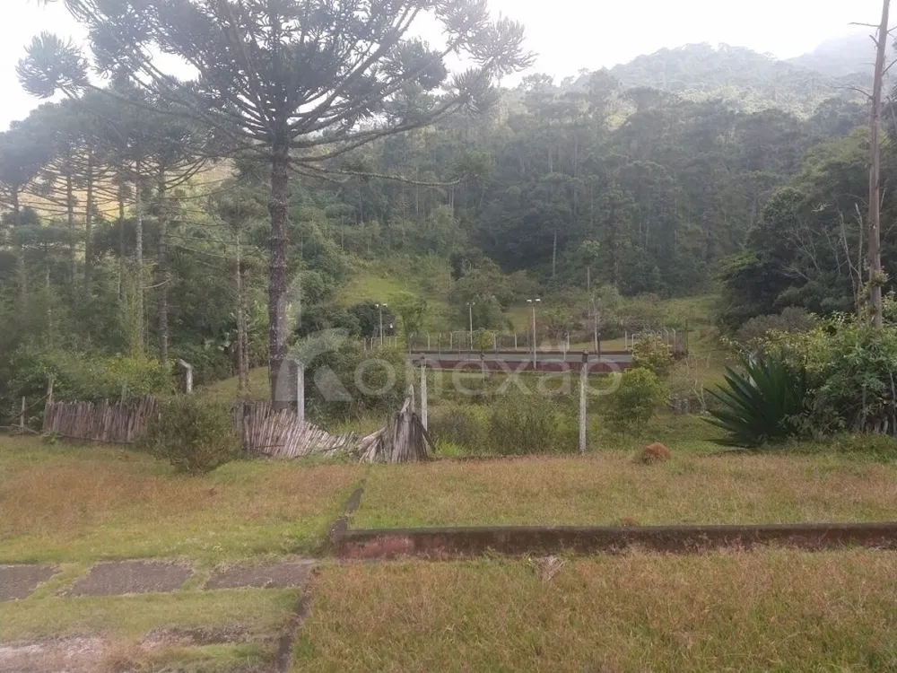 Fazenda, 361 hectares - Foto 1