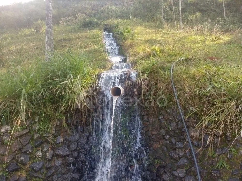 Fazenda, 361 hectares - Foto 13