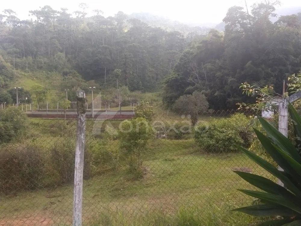 Fazenda, 361 hectares - Foto 11