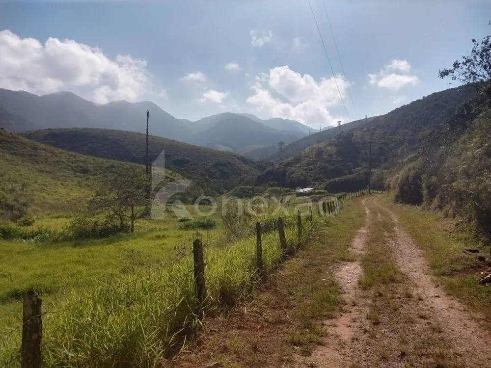 Fazenda, 361 hectares - Foto 9