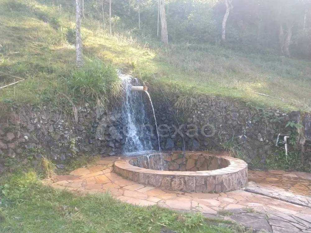 Fazenda, 361 hectares - Foto 7