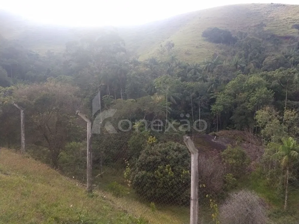 Fazenda, 361 hectares - Foto 2