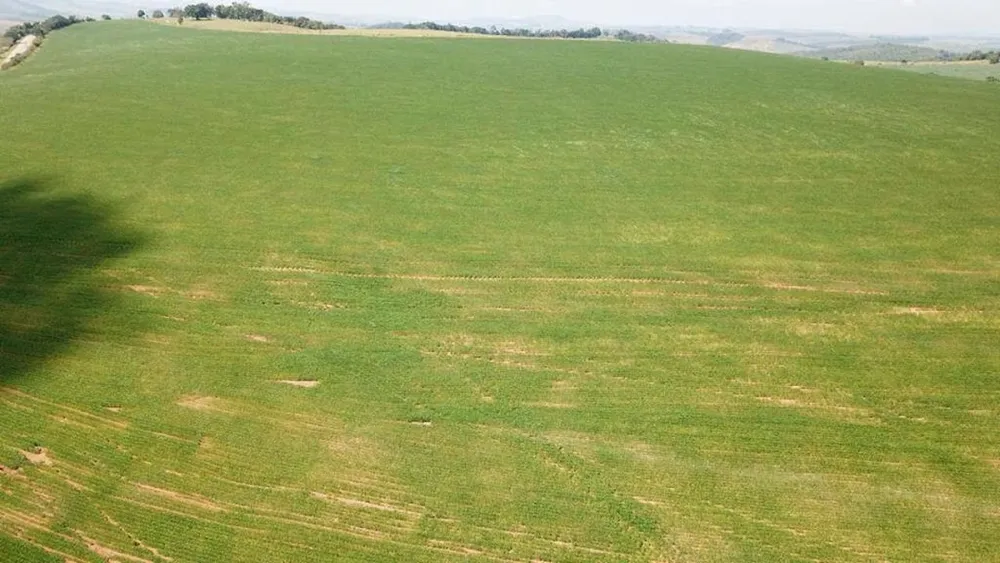 Fazenda, 200 m² - Foto 9