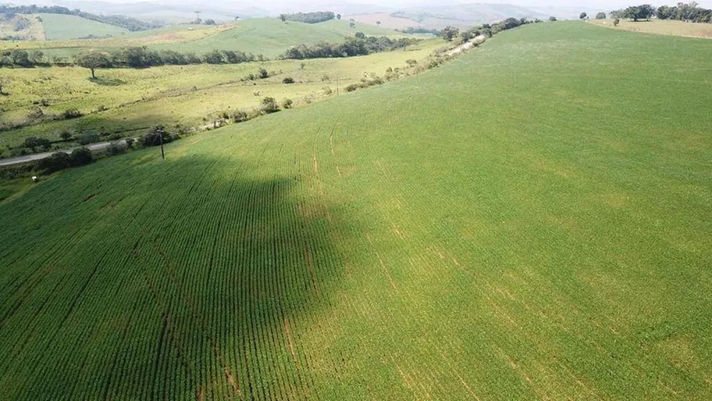 Fazenda, 200 m² - Foto 7
