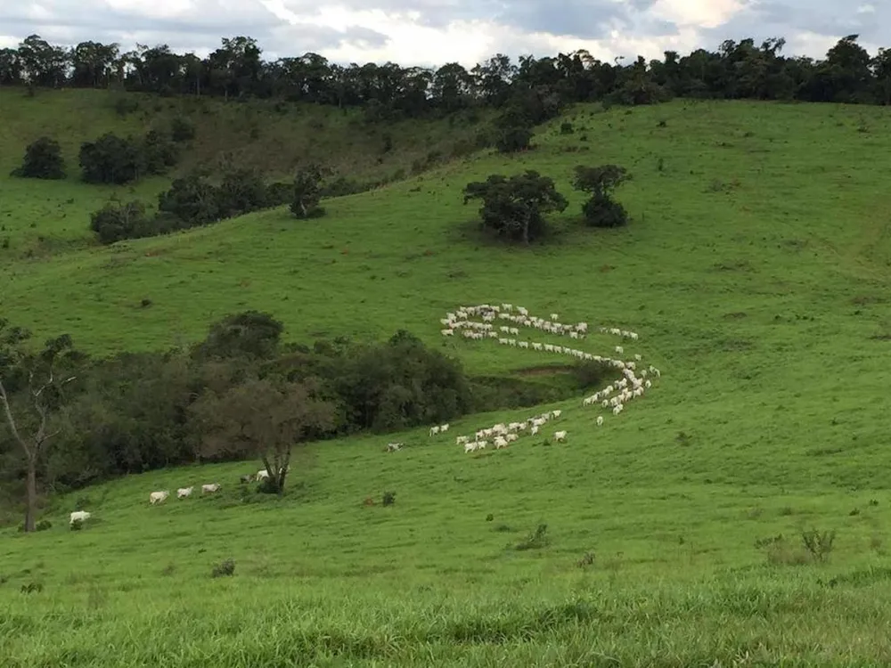 Fazenda, 200 m² - Foto 8