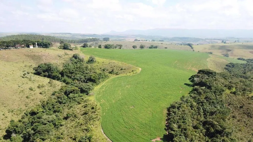Fazenda, 200 m² - Foto 10
