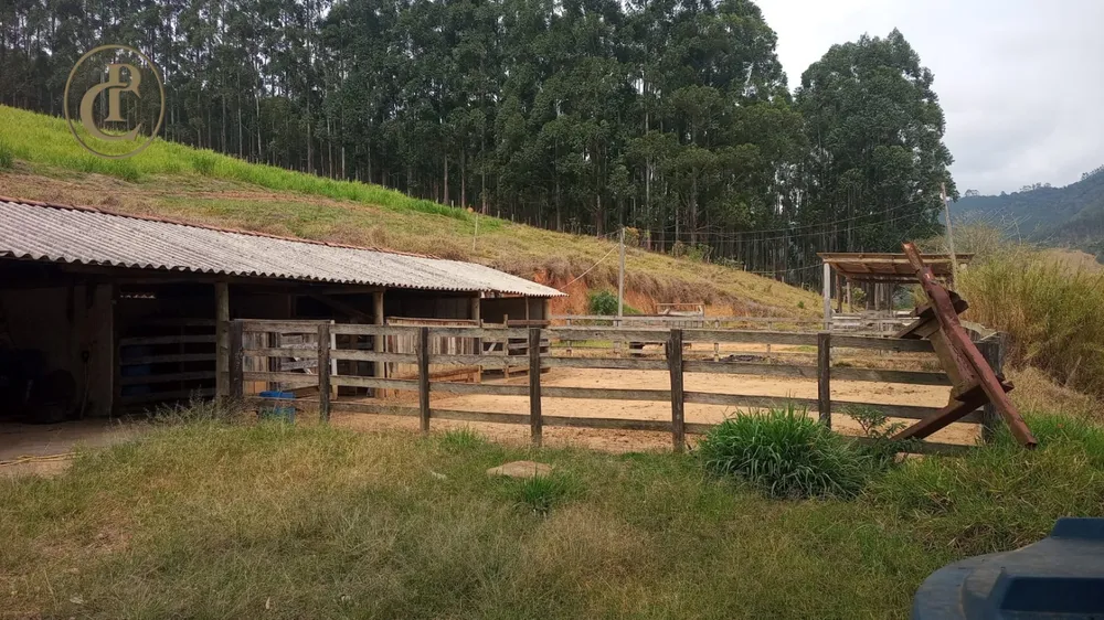 Sítio, 3 quartos, 300 m² - Foto 3