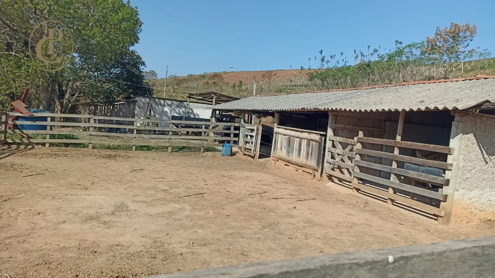 Sítio, 3 quartos, 300 m² - Foto 1