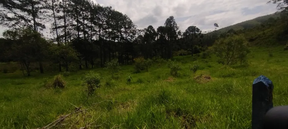 Fazenda, 114 hectares - Foto 3