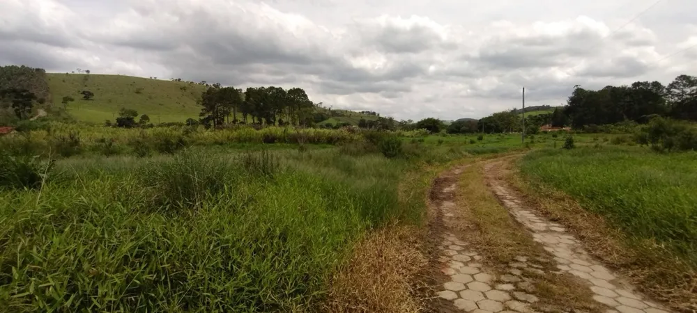 Fazenda, 114 hectares - Foto 2