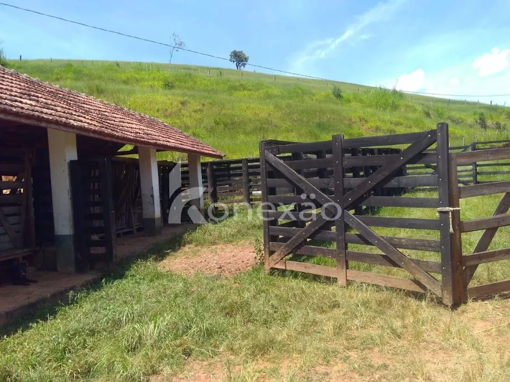 Sítio, 2 quartos, 100 m² - Foto 6