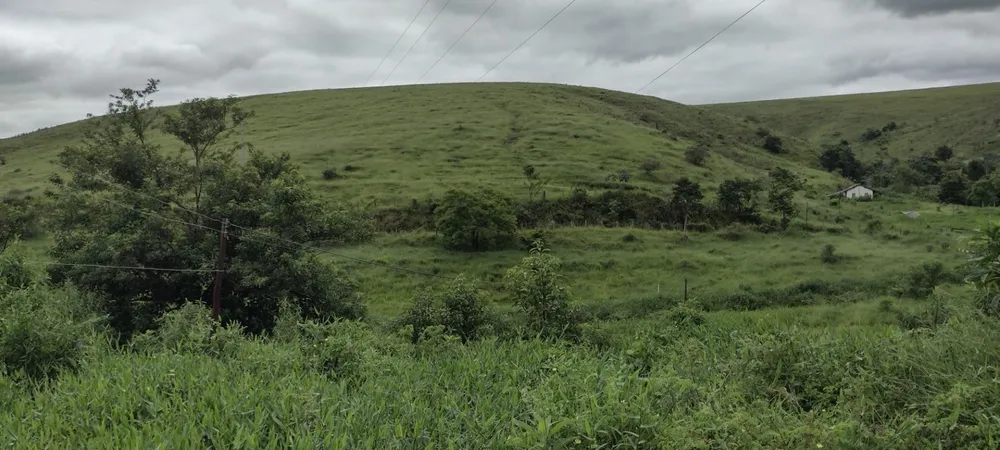 Fazenda, 200 m² - Foto 6
