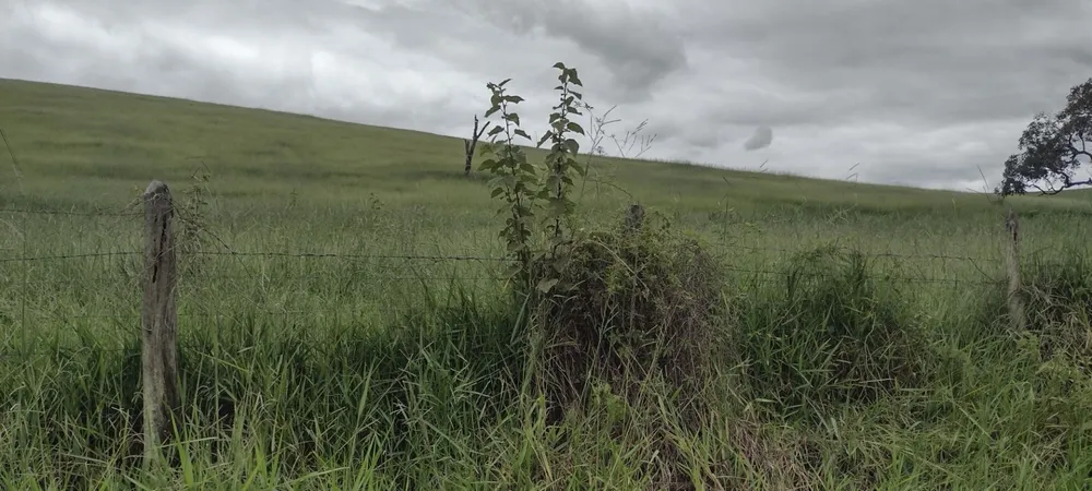 Fazenda, 200 m² - Foto 5