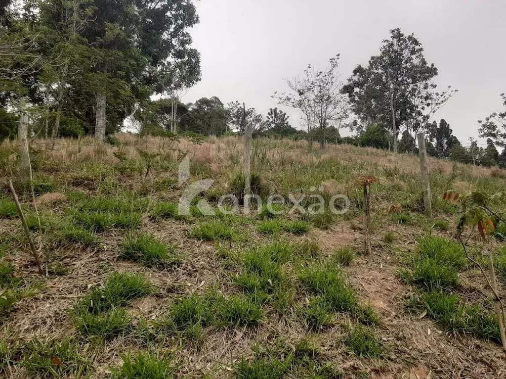 Chácara, 2 quartos, 200 m² - Foto 12