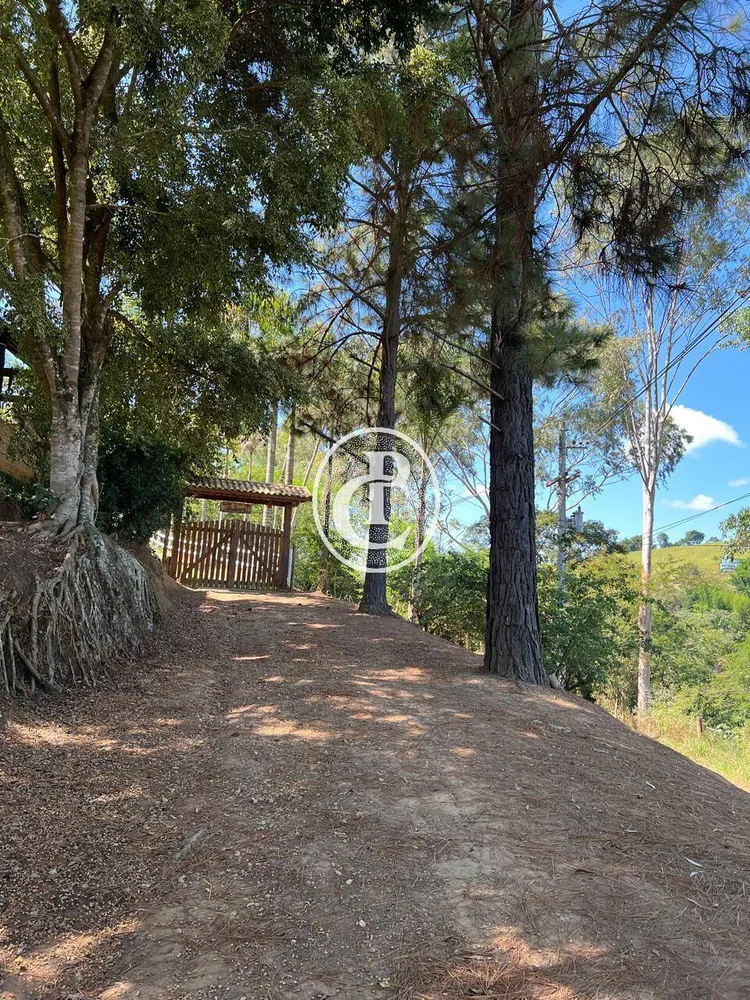 Terreno, 6 hectares - Foto 4