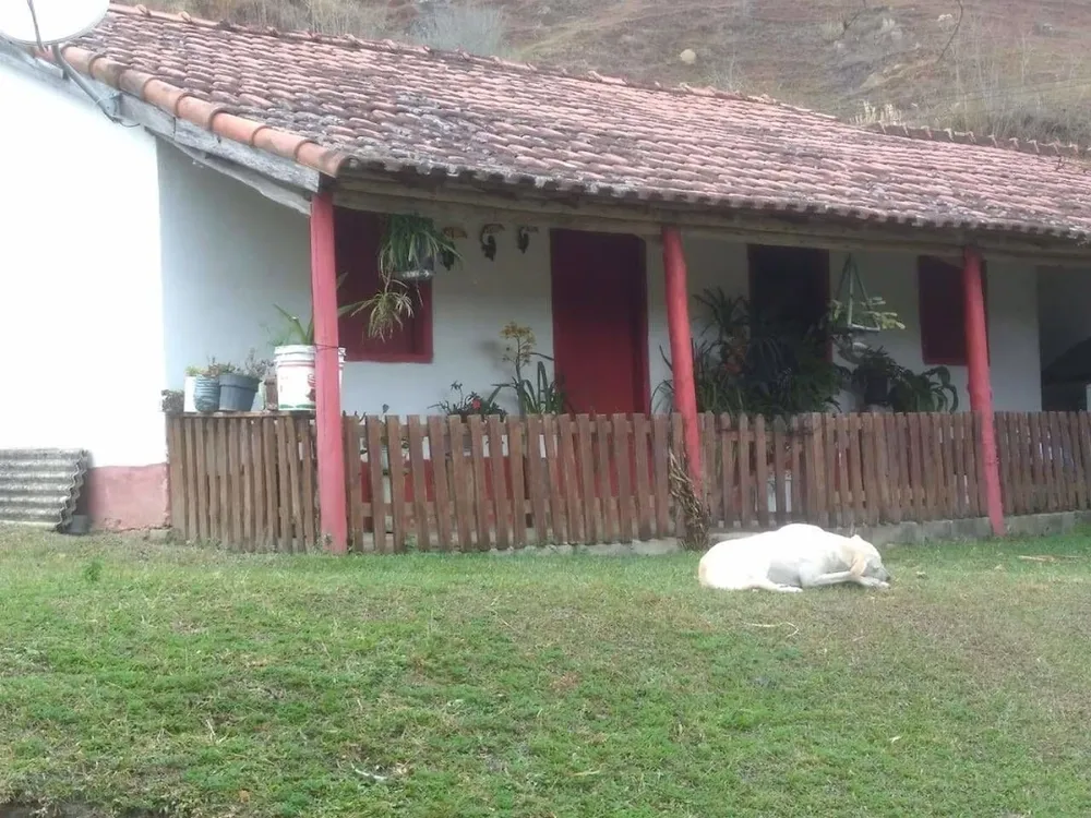Sítio, 3 quartos, 100 m² - Foto 3