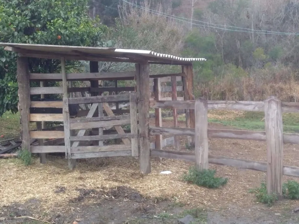 Sítio, 3 quartos, 100 m² - Foto 1
