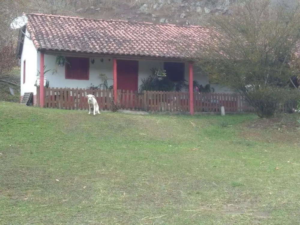Sítio, 3 quartos, 100 m² - Foto 6