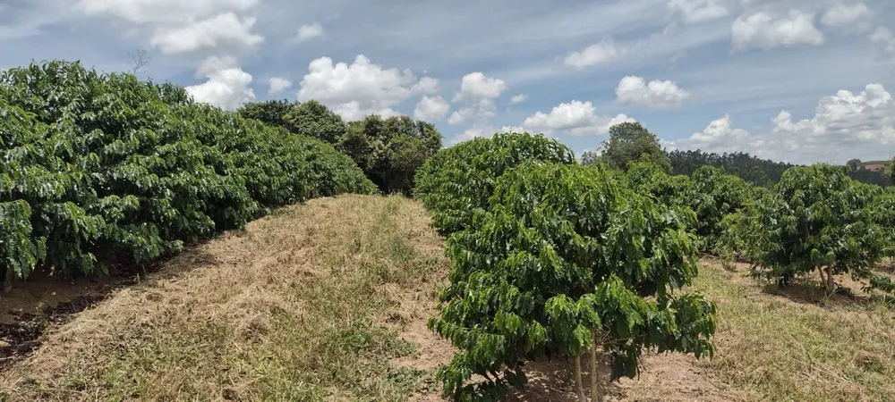 Fazenda, 200 m² - Foto 1