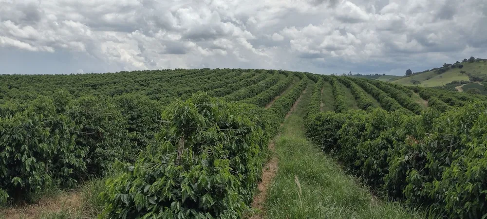Fazenda, 200 m² - Foto 3