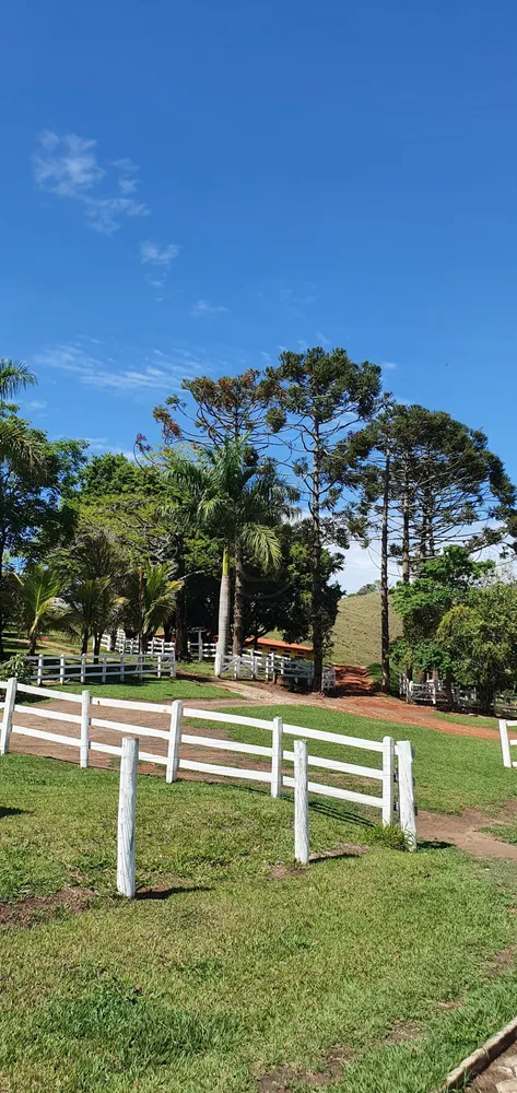 Sítio, 5 quartos, 150 m² - Foto 4