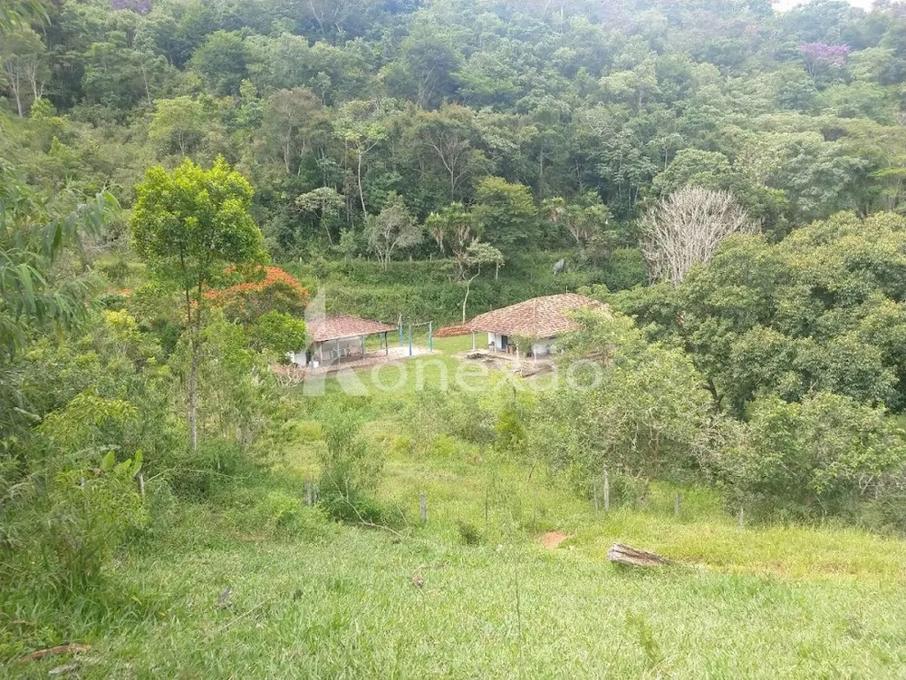 Sítio, 3 quartos, 120 m² - Foto 6