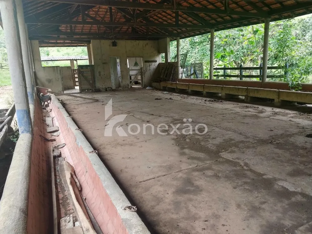 Sítio, 3 quartos, 120 m² - Foto 2