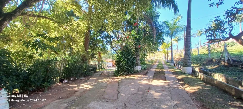 Sítio, 3 quartos, 800 m² - Foto 1