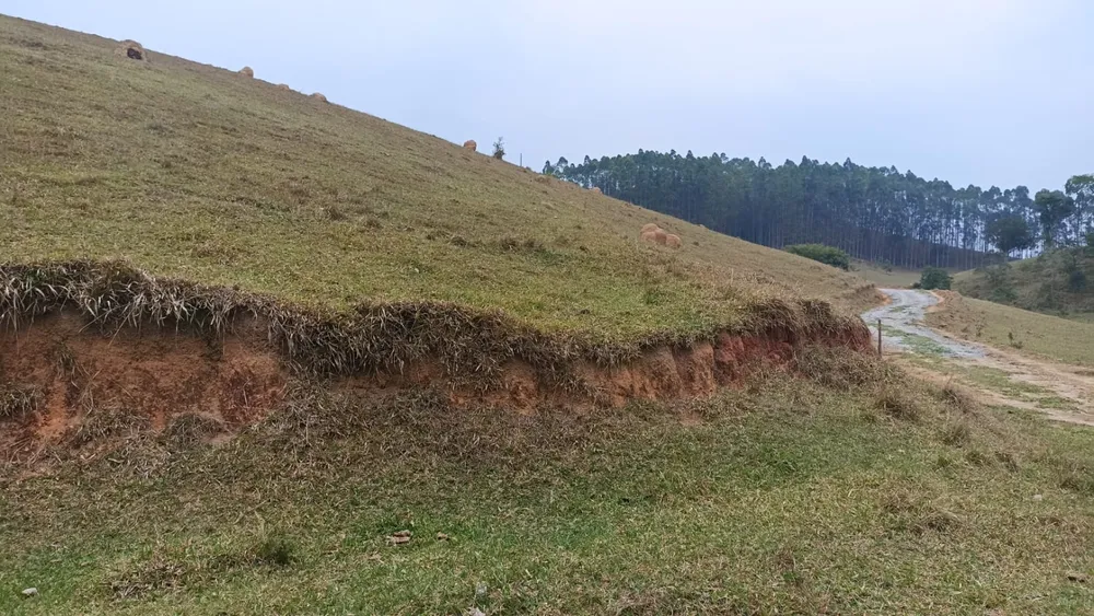 Sítio, 1 quarto, 100 m² - Foto 4