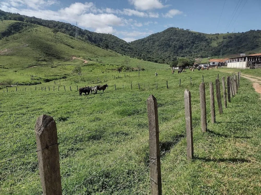 Fazenda, 194 hectares - Foto 16