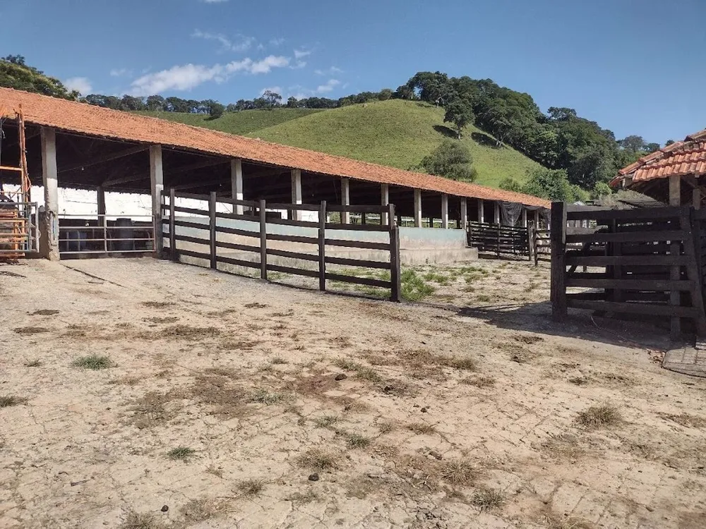 Fazenda, 194 hectares - Foto 12
