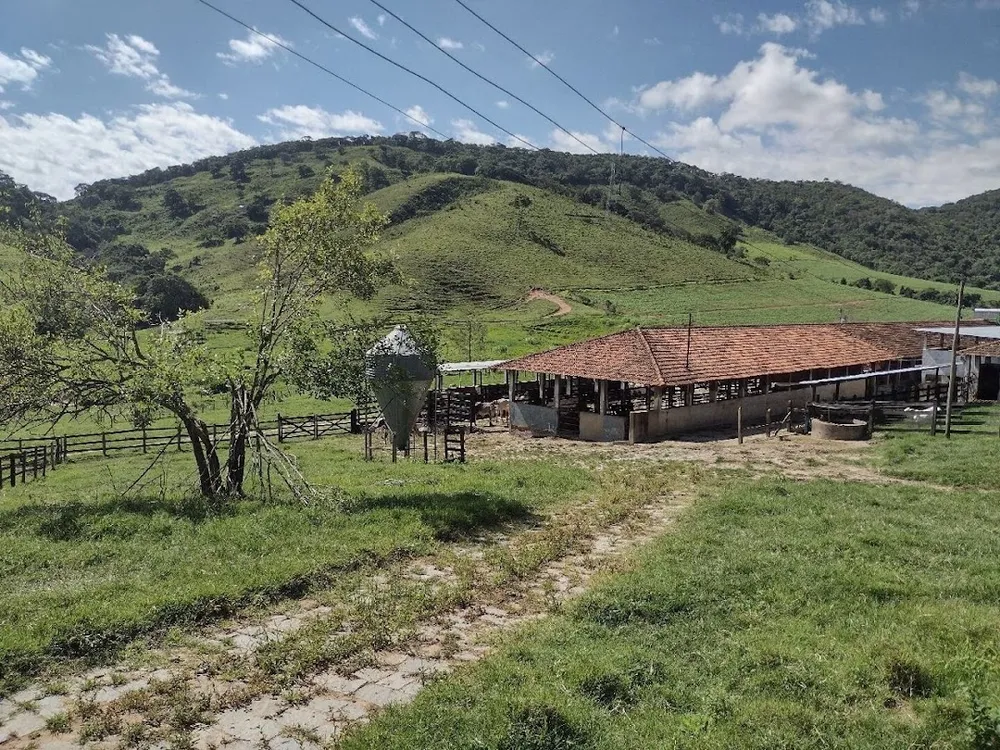 Fazenda, 194 hectares - Foto 2