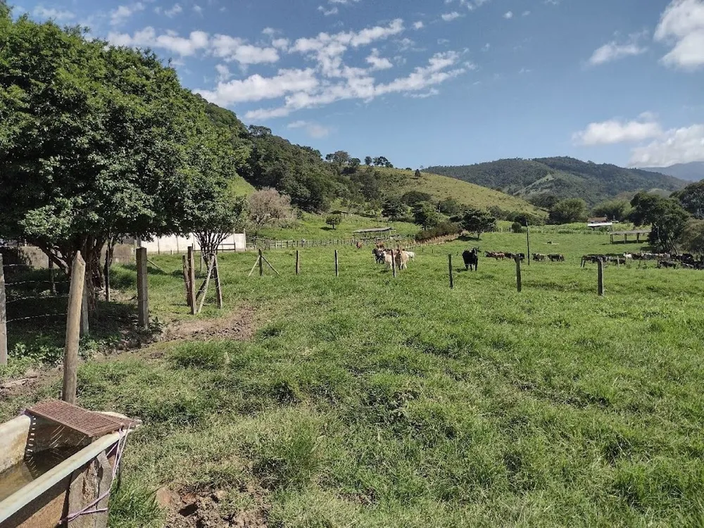 Fazenda, 194 hectares - Foto 10
