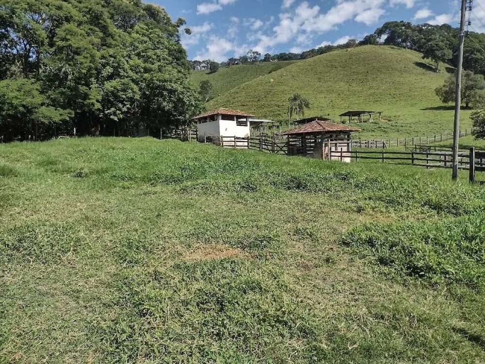 Fazenda, 194 hectares - Foto 6