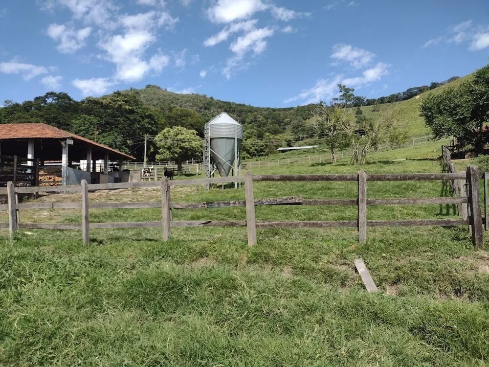 Fazenda, 194 hectares - Foto 14