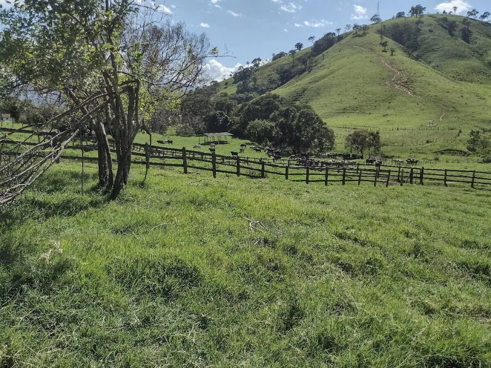 Fazenda, 194 hectares - Foto 3