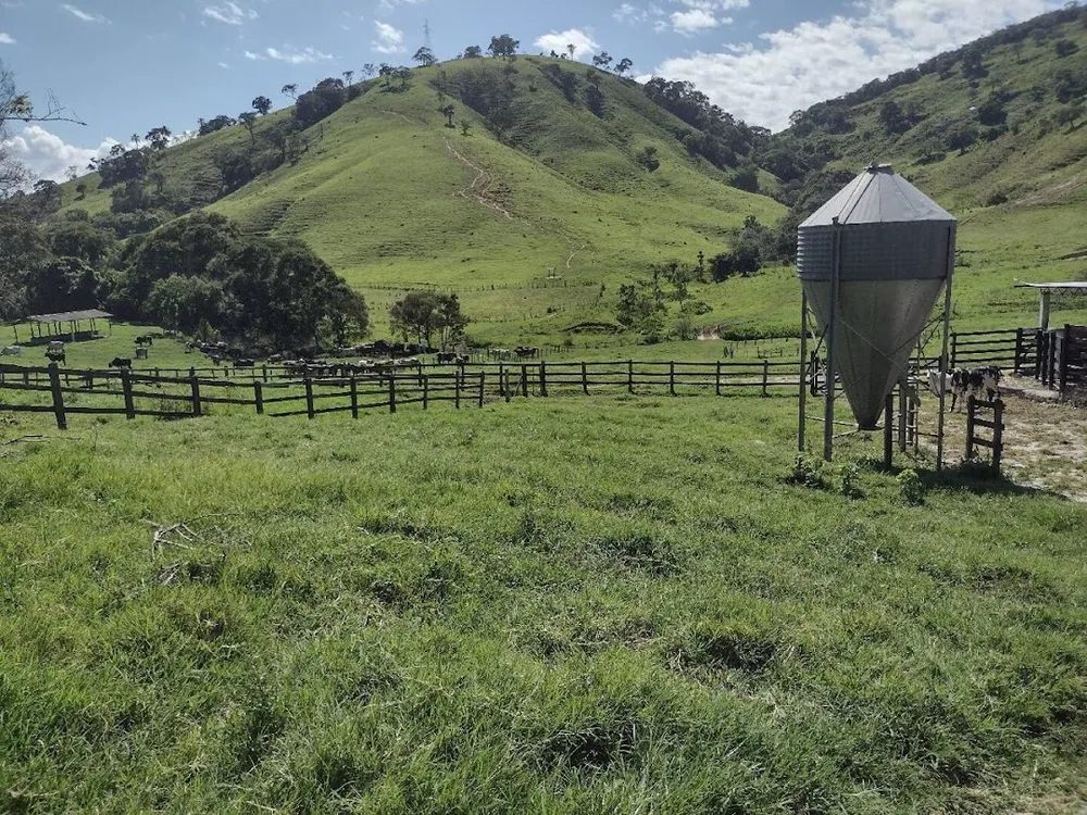 Fazenda, 194 hectares - Foto 4
