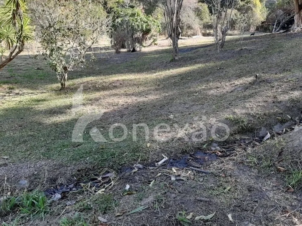Chácara, 4 quartos, 2000 m² - Foto 11